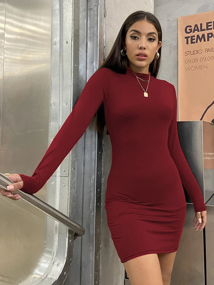 Long Sleeve Mini Dress
