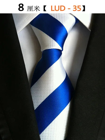 Business Neck Tie